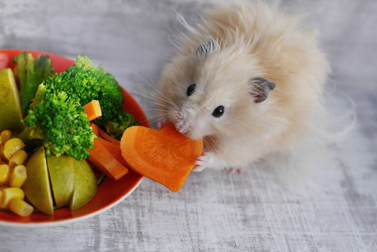 shutterstock_557793037