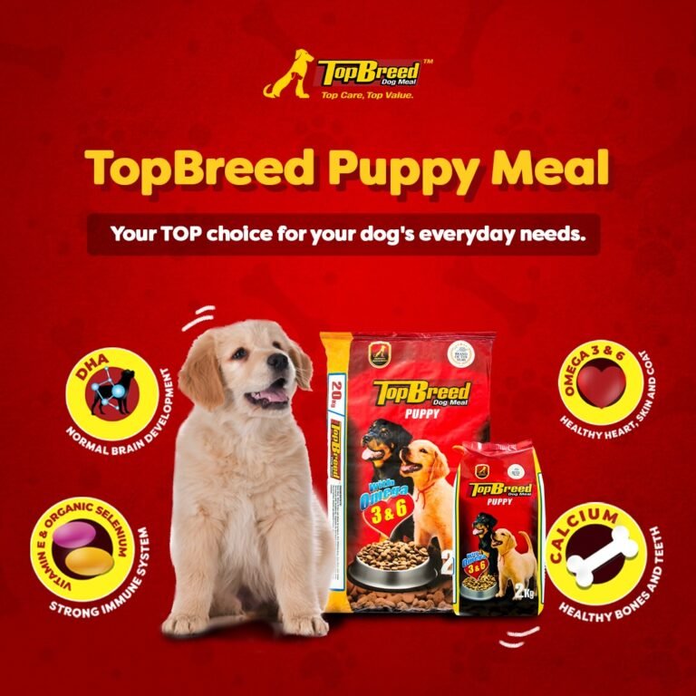 top breed puppy dog food