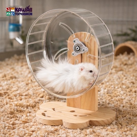 Hamster wheel