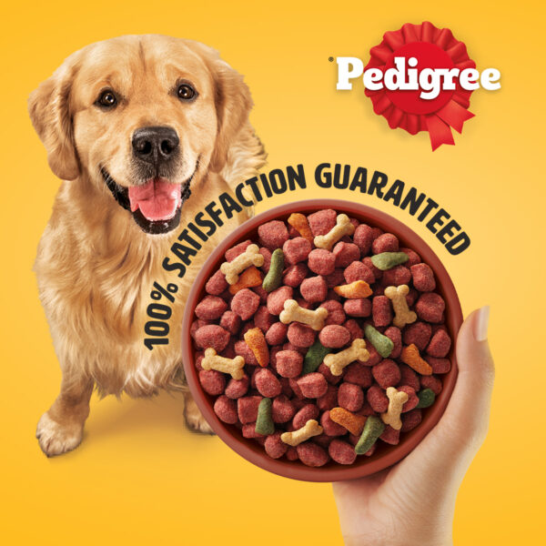 Pedigree Adult Dog Food 20kg – Trusted Daily Diet for All-Breed Adult Dogs - Image 3