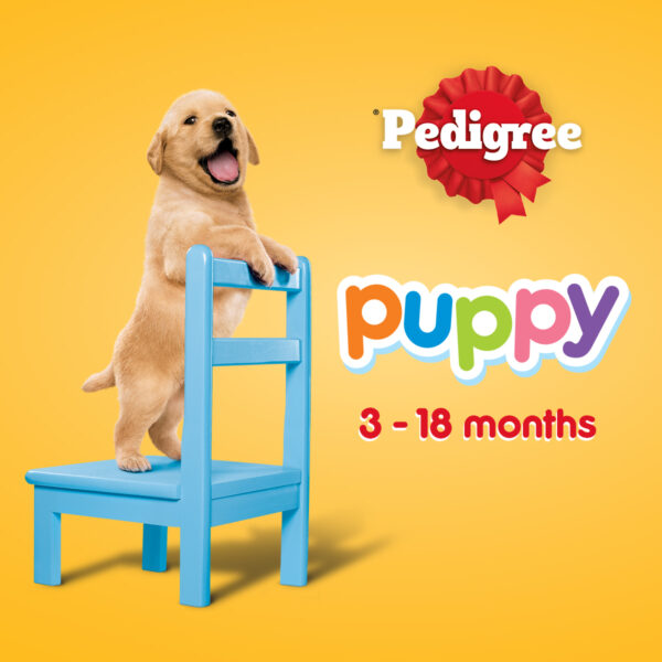 Pedigree Puppy Dog Food 15kg – Complete & Balanced Nutrition for Growing Puppies - Image 2