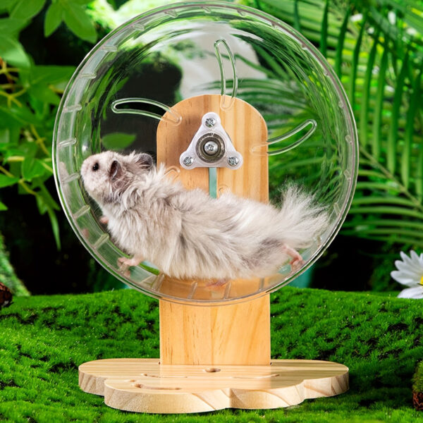Hamster exercise wheel