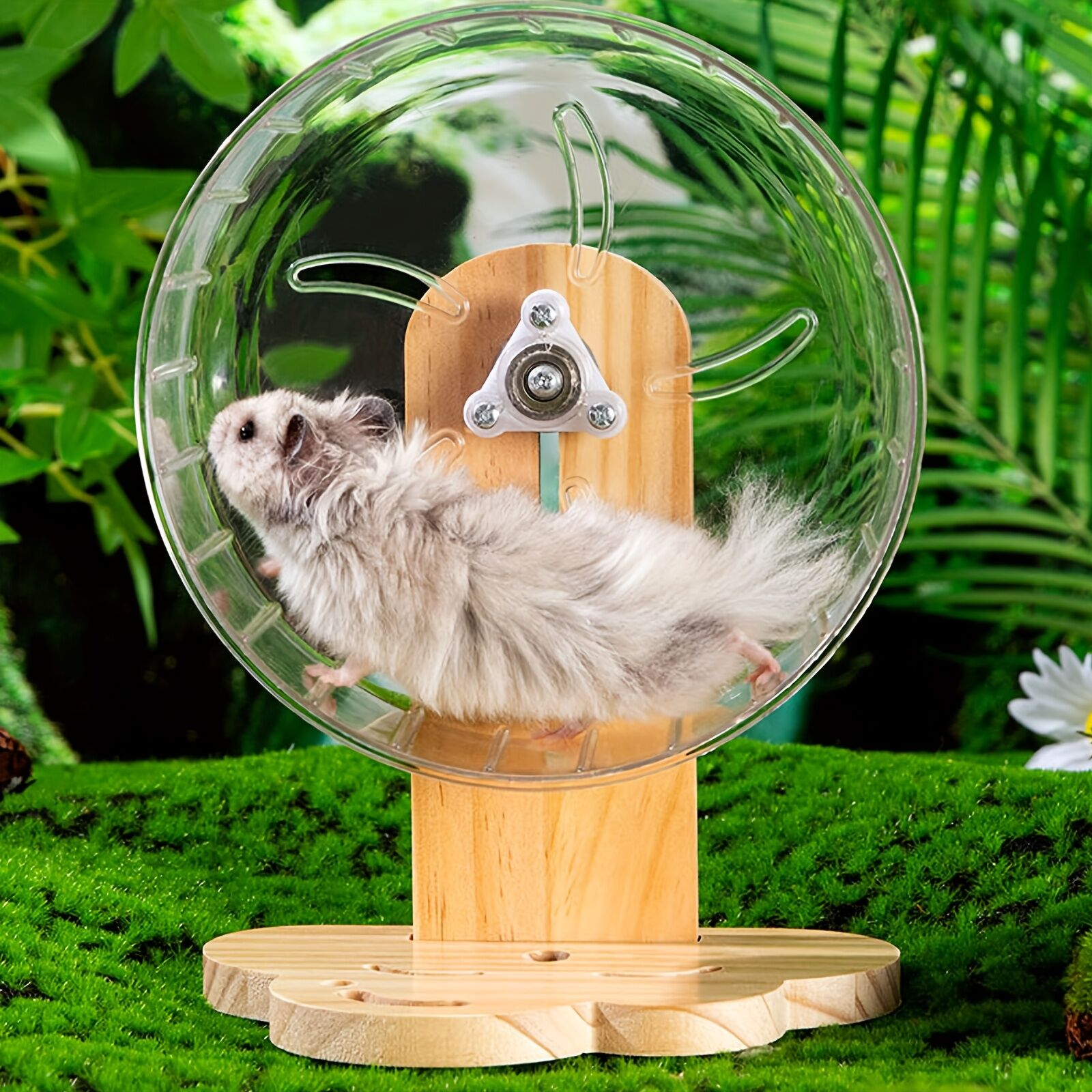 Hamster exercise wheel