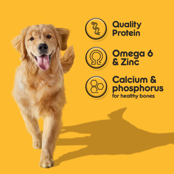 Pedigree Adult Dog Food 20kg – Trusted Daily Diet for All-Breed Adult Dogs - Image 4