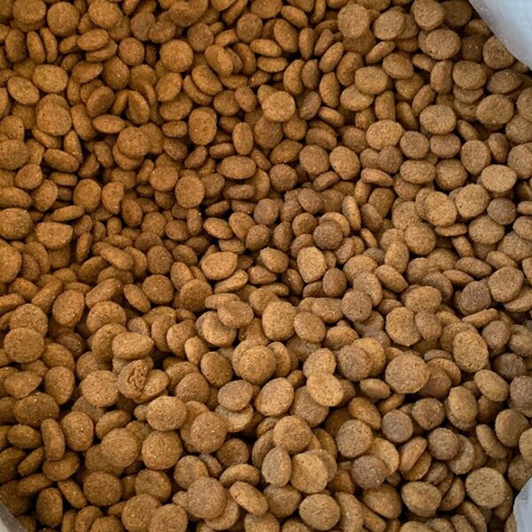 Top Breed Adult Dog Food 20kg – Complete & Balanced Nutrition - Image 5