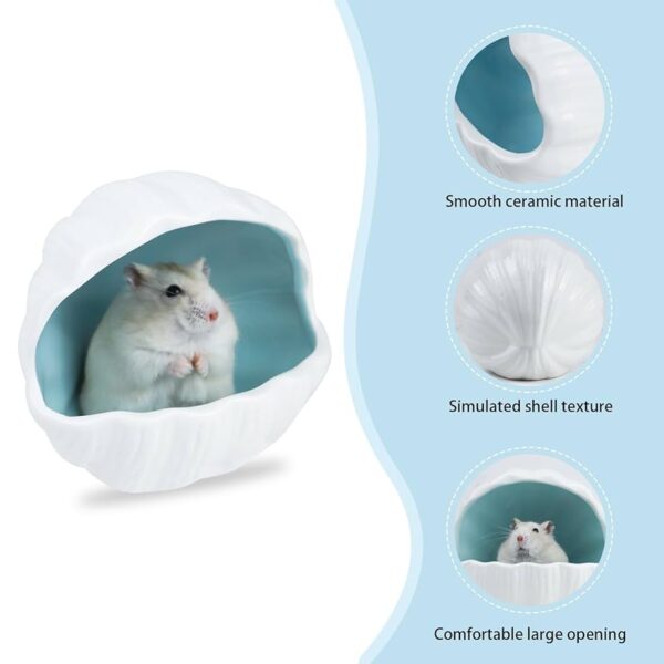 Ceramic Hamster Shell House – Cool Hideout for Small Pets (Pink/Blue) - Image 2