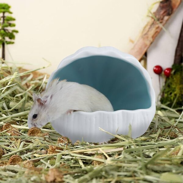 Ceramic Hamster Shell House – Cool Hideout for Small Pets (Pink/Blue) - Image 4