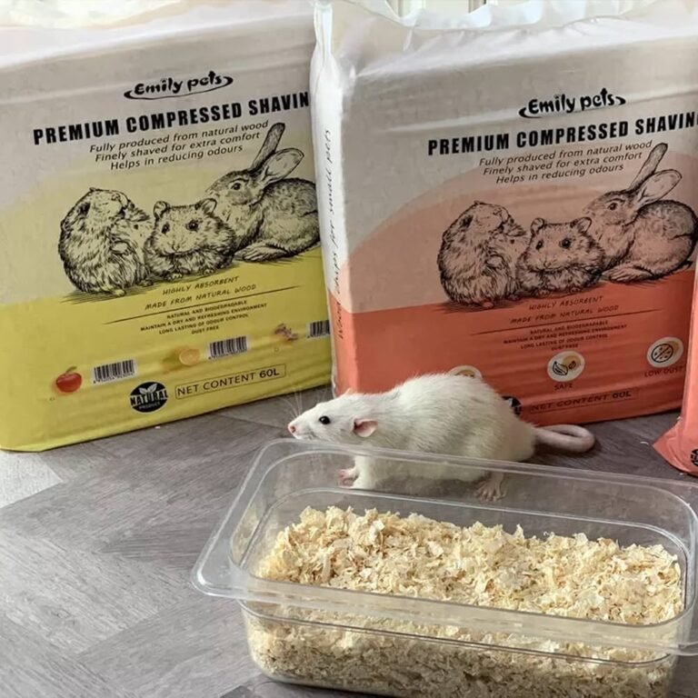 7180ytyjNVL._UF1000,1000_QL80_