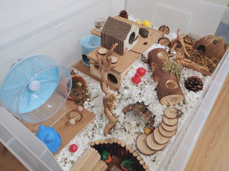 hamster enclosure