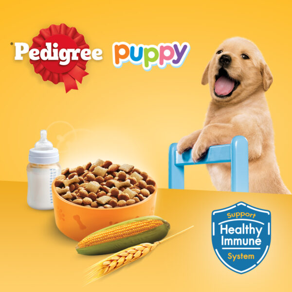 Pedigree Puppy Dog Food 15kg – Complete & Balanced Nutrition for Growing Puppies - Image 3