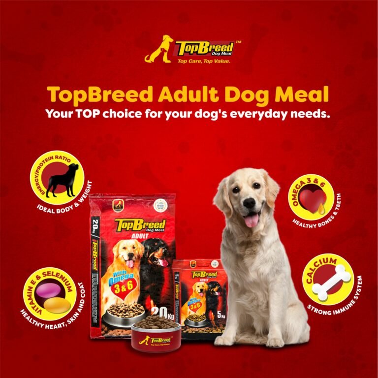 top breed adult dog food