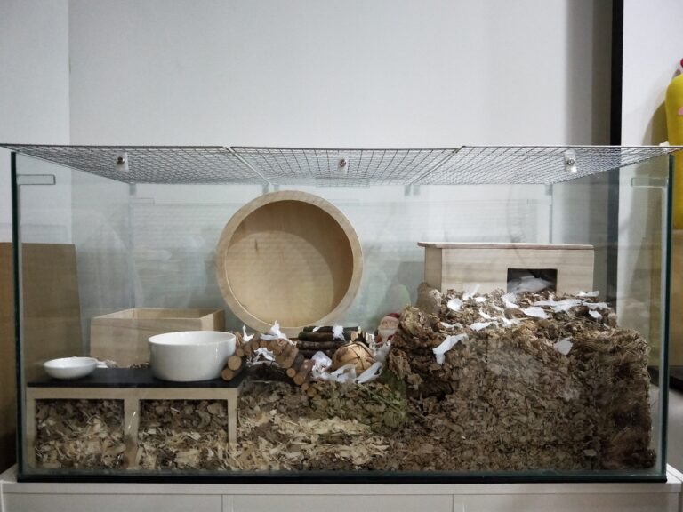 hamster bedding