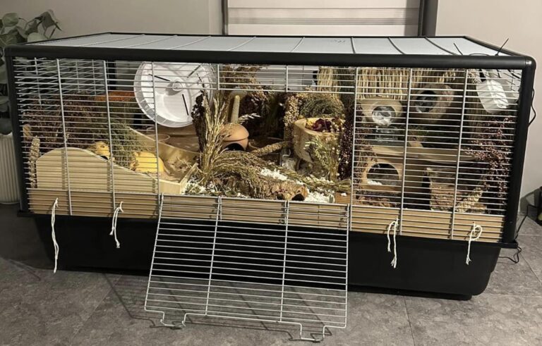 hamster enclosure