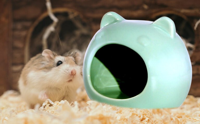 Ceramic Hamster Hut