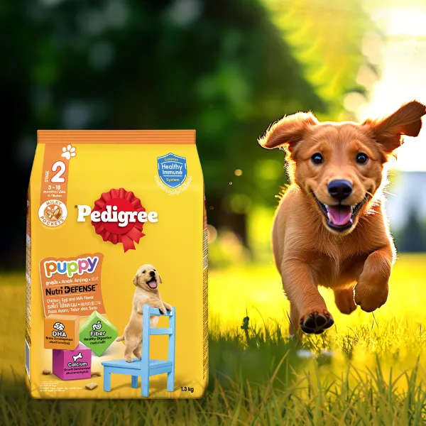Pedigree Puppy Dog food