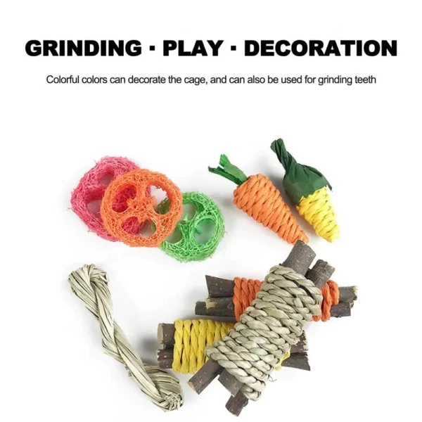 Color Molar Set – Natural Chew Toys for 1Small Pets - Image 2
