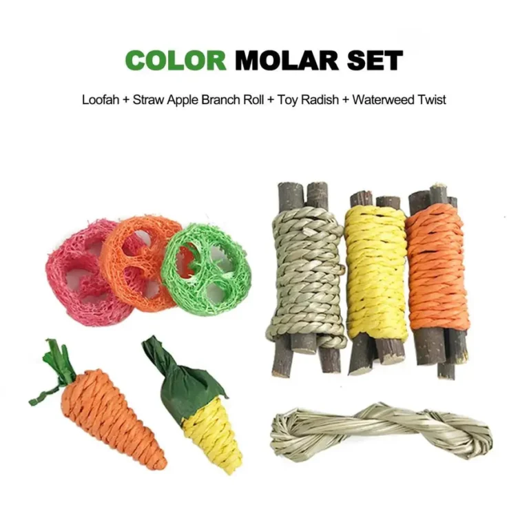 Color Molar Set