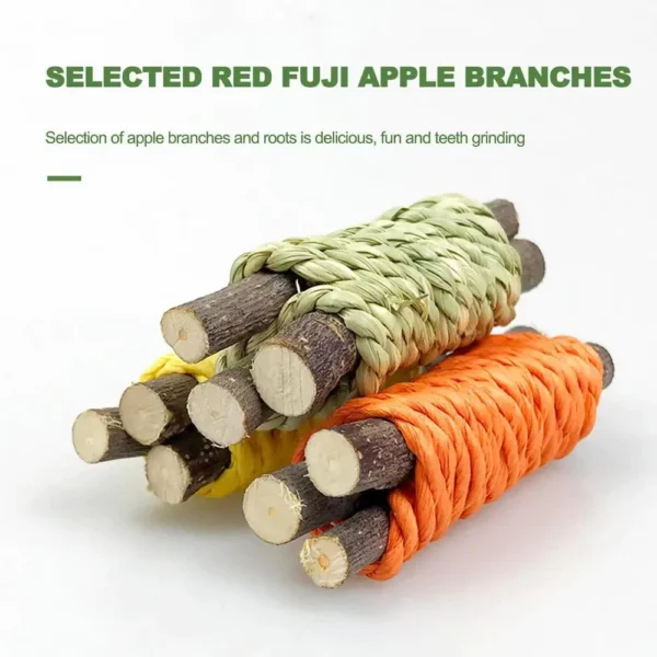 Color Molar Set – Natural Chew Toys for 1Small Pets - Image 3