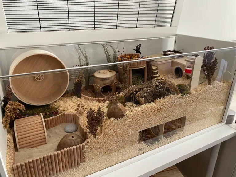 hamster enclosure