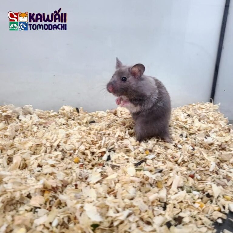 VideoCapture_20250911-115357