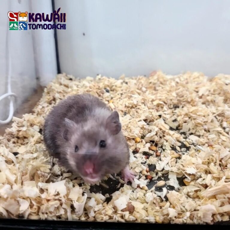 VideoCapture_20250911-115441