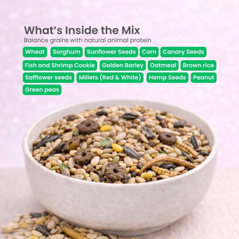 Your paragraph text (3)