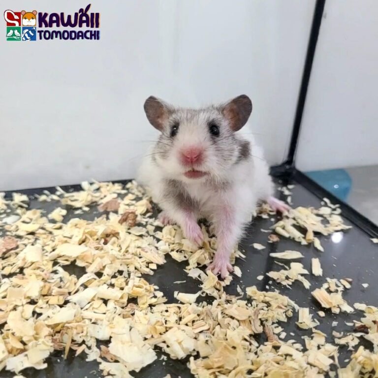 3645b1f0-0588-4146-abae-7e72b1d2c133