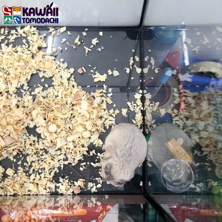 3f372ea6-dc4c-4c62-a746-4f0dd235e798