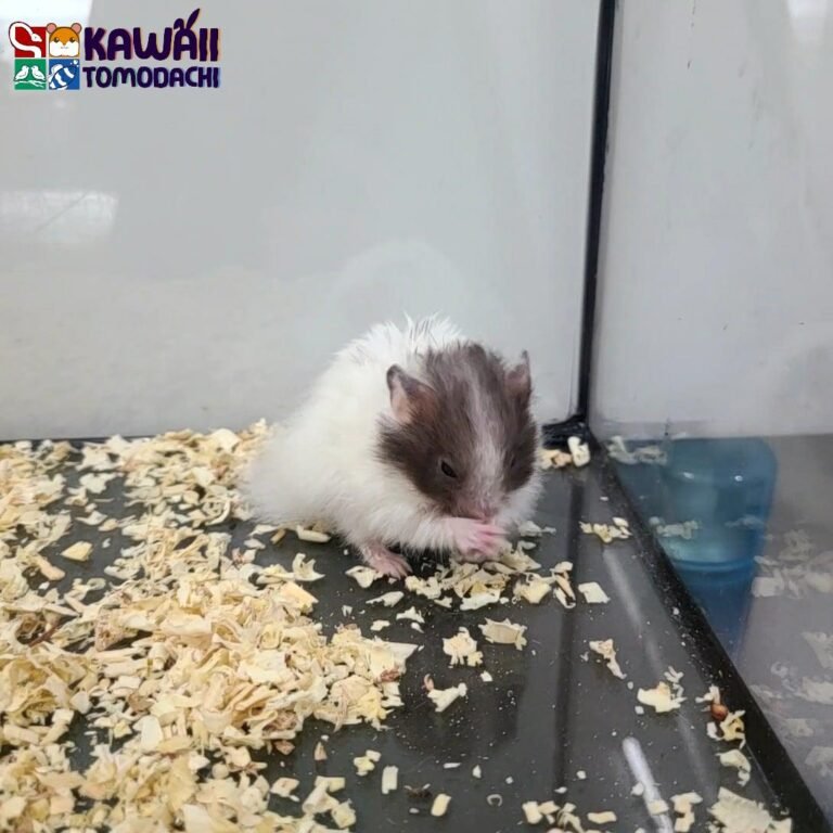 843626db-bfaf-44f1-b1ce-8bc20c51b377