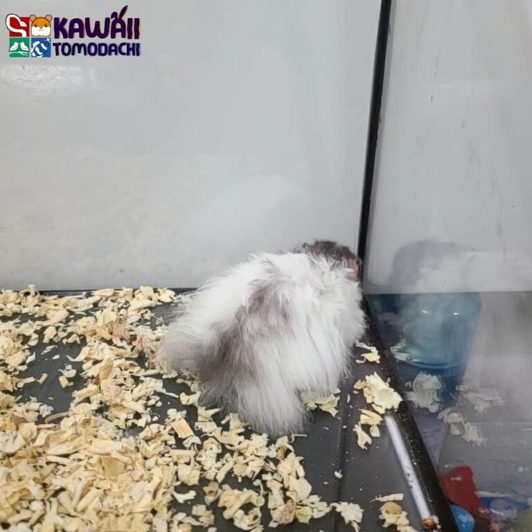 8811d015-0205-4a20-a1a9-35ee40fee576