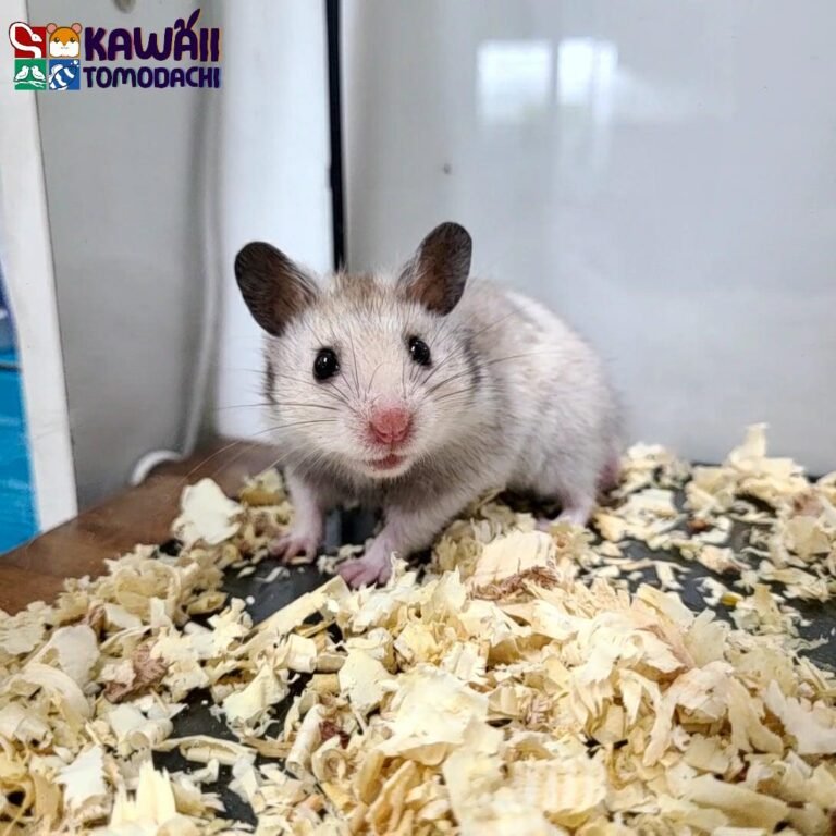 8d8ba583-e4ab-4ac4-84bc-9972ec2bb558