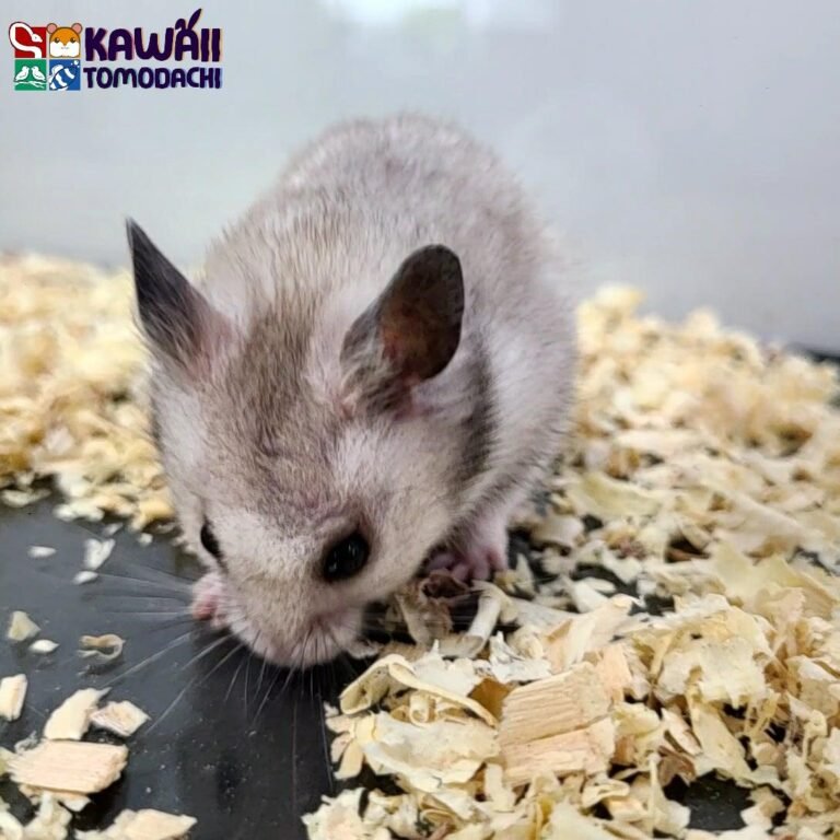 b78e60ac-0d90-4cc8-ba9f-ccfdc95092ca