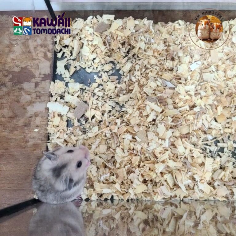 photo_2_2025-10-13_18-23-07