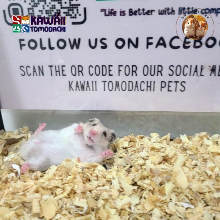 photo_2_2025-10-13_18-26-08