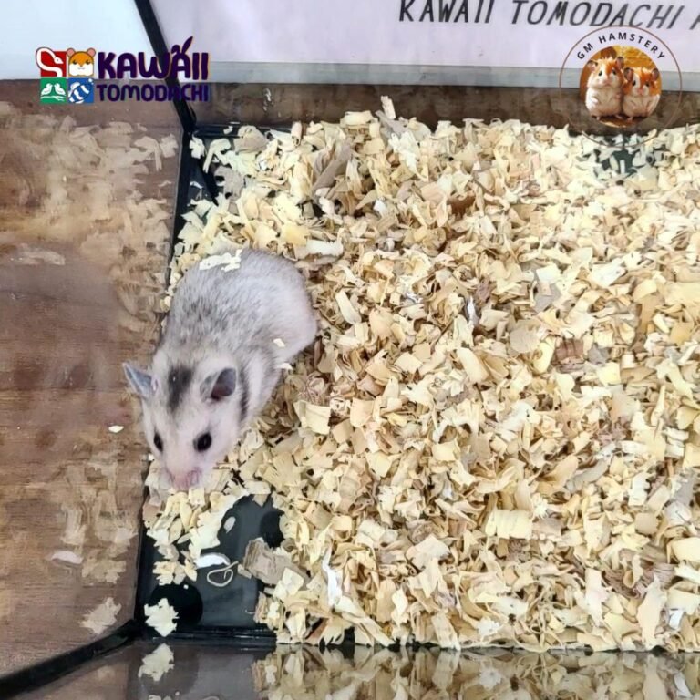 photo_3_2025-10-13_18-23-07