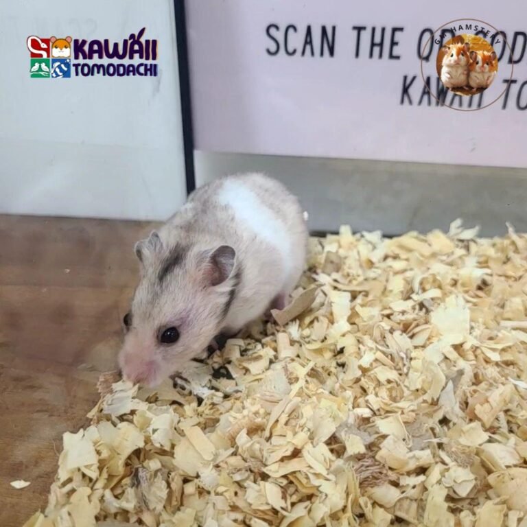 photo_3_2025-10-13_18-26-08