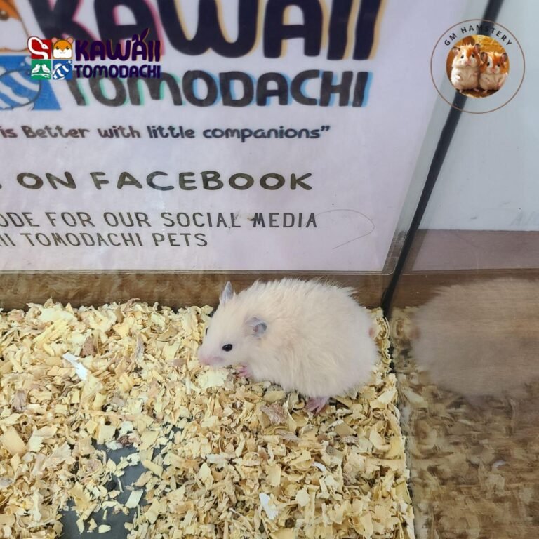 photo_4_2025-10-13_17-33-41