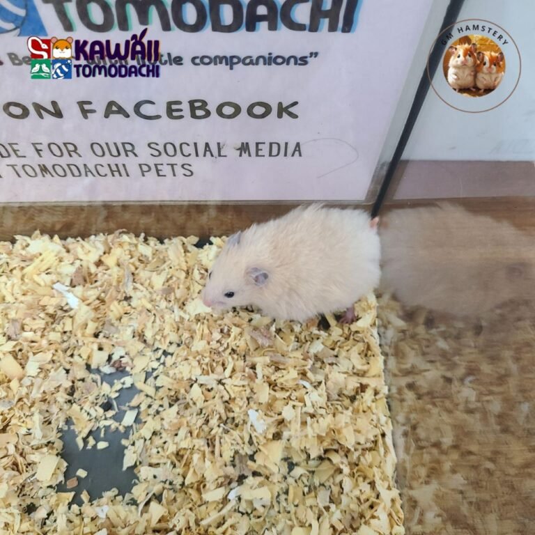 photo_5_2025-10-13_17-33-41