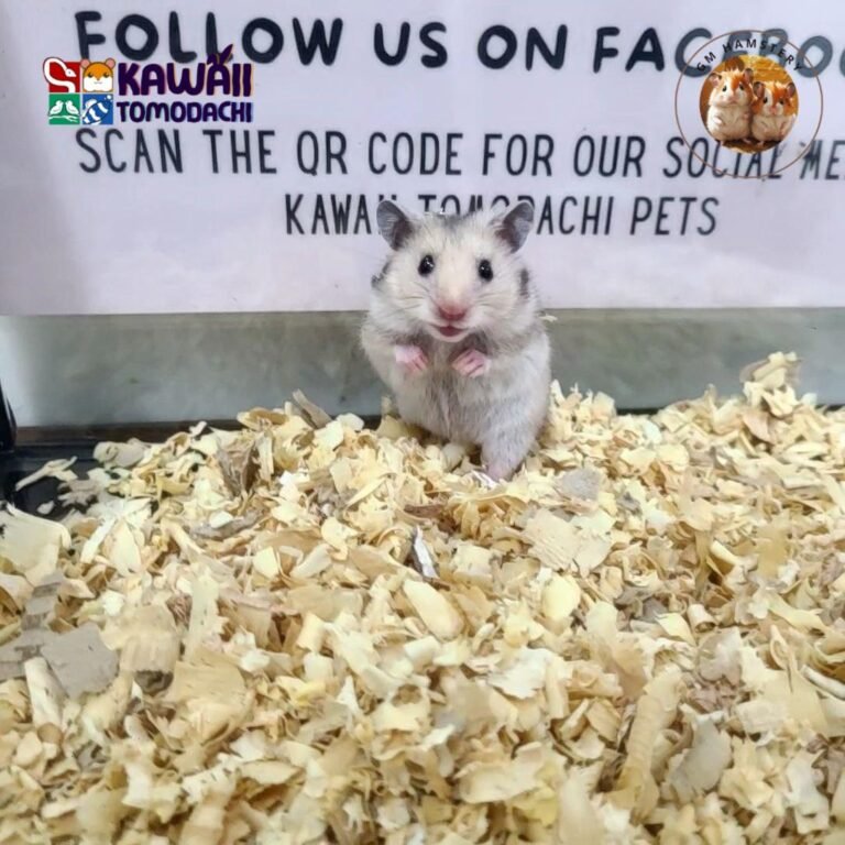 photo_5_2025-10-13_18-23-07