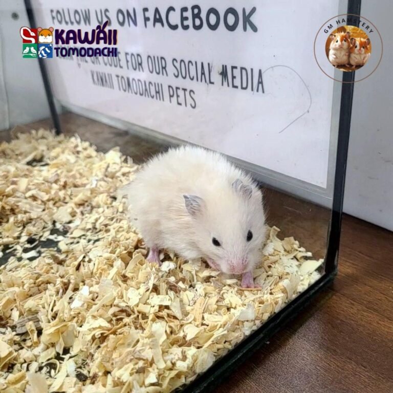 photo_6_2025-10-13_17-33-41