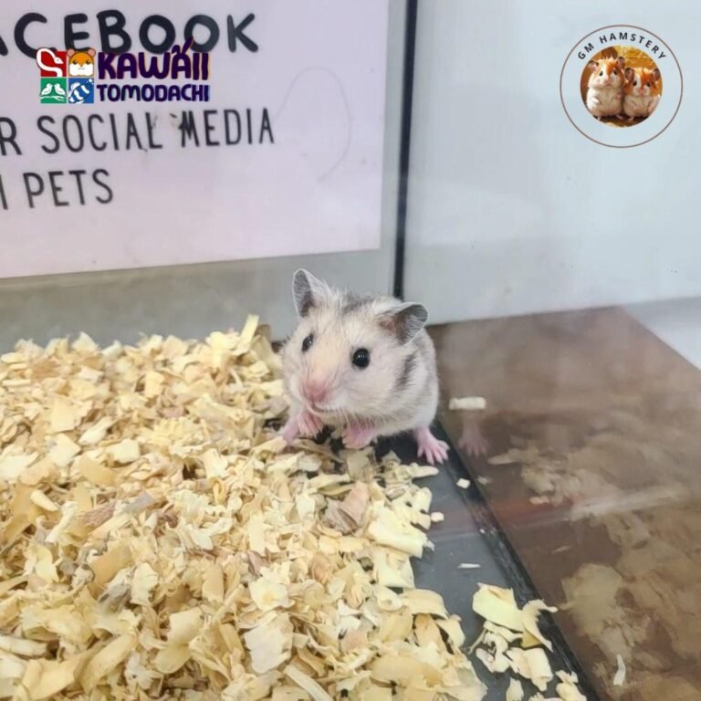 photo_6_2025-10-13_18-23-07