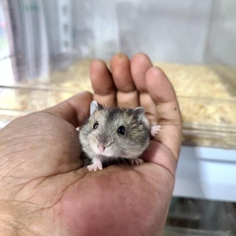 558298708_122263398944074762_8520937495177614970_n