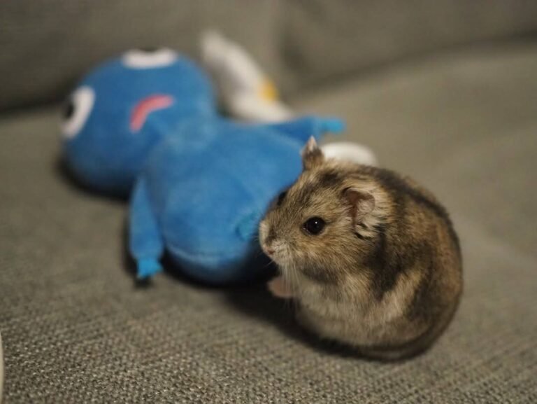 561098065_122264304134074762_6570201220151671768_n