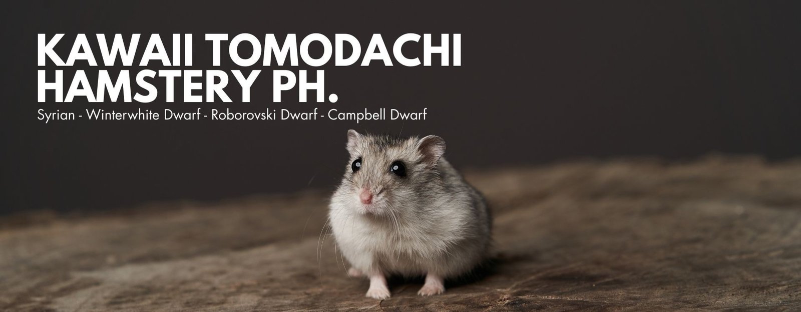 Kawaii Tomodachi Hamsters