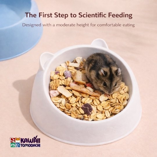 hamster food bowl
