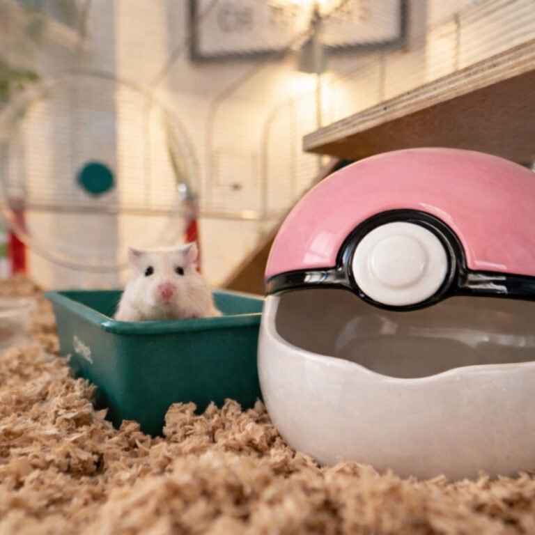 Ceramic Hamster Hide