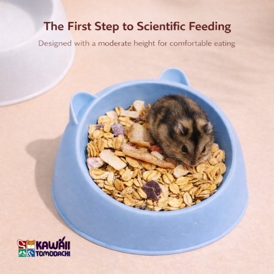 Hamster food bowl