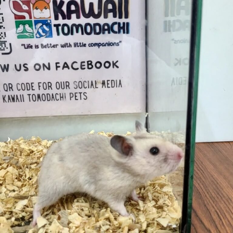 4117272c-3459-4535-bfa3-b76e963cdc6c