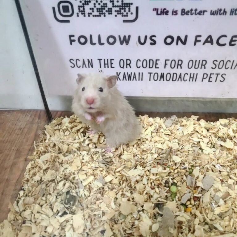 445b405a-19fe-402b-8260-ff89c8c3e423