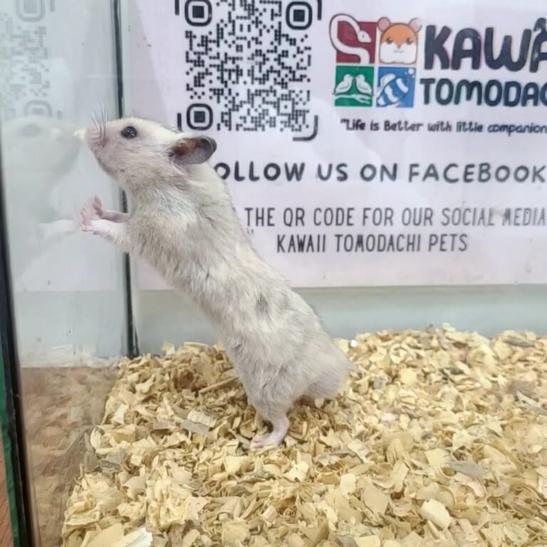 542e8a63-78a5-4cd2-9b48-7cca748fa676